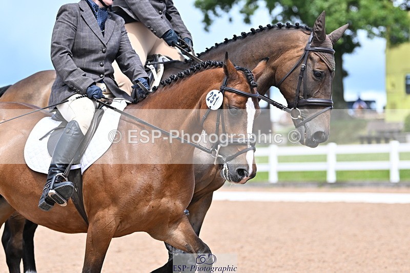 240706A-141244-03192 - Cls 7 Pairs