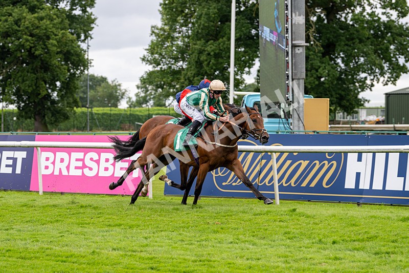 030724-Race 2-The Crafty Mole-0527 - Race 2