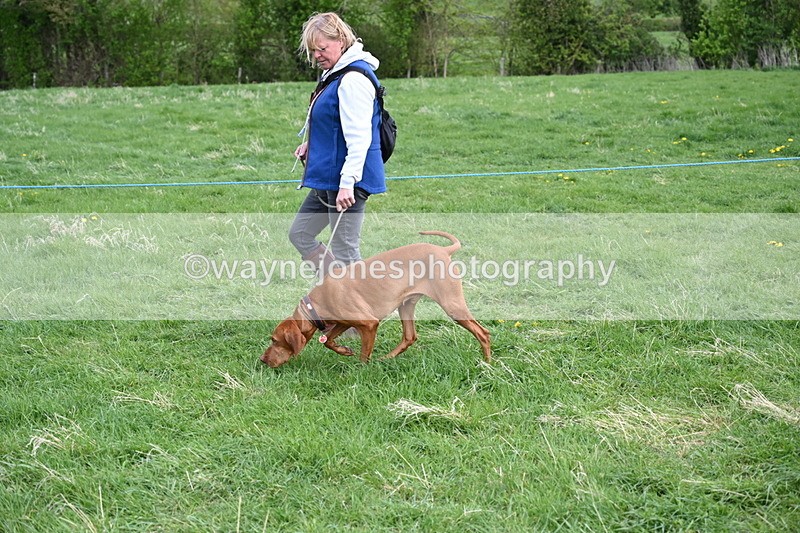 WJ6_8080 - Class 2 Best Pedigree