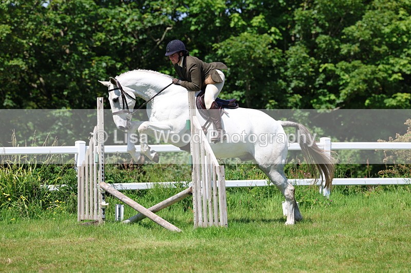 3E7A7478 - Class 31: Working Hunter Cob/Riding Horse