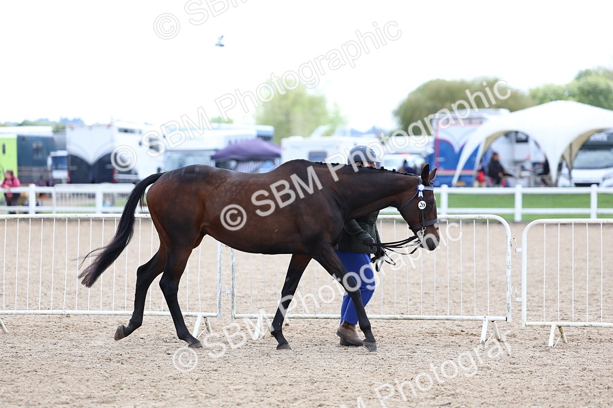 SBM_15246 - Class 313 - IH Retired Racehorse
