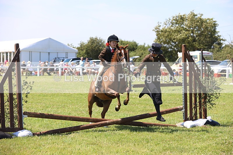 JPP_2178 - Class 20: Tiny Tots Working Hunter Pony