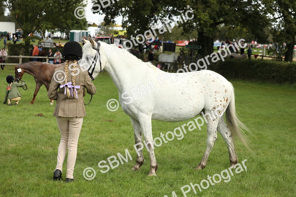 SBM_62810 - S46 - Mountain & Moorland In Hand Small Breeds