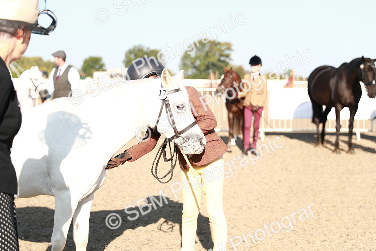 SBM_00051 - Class 40 Best Turned Out IH