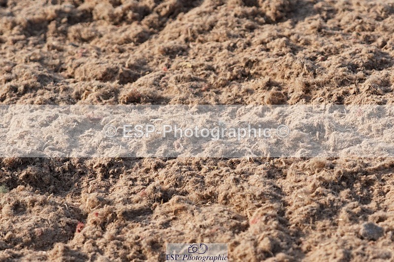 250621-183312-10469 - RoR Cls 7b-8b Elem and Medium