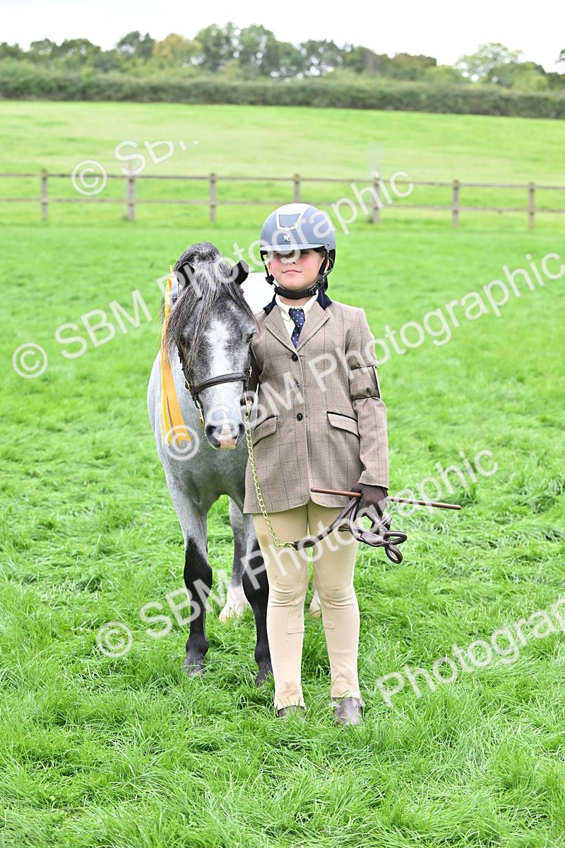 SBM_61062 - S48 - Mountain & Moorland In Hand Small Breeds