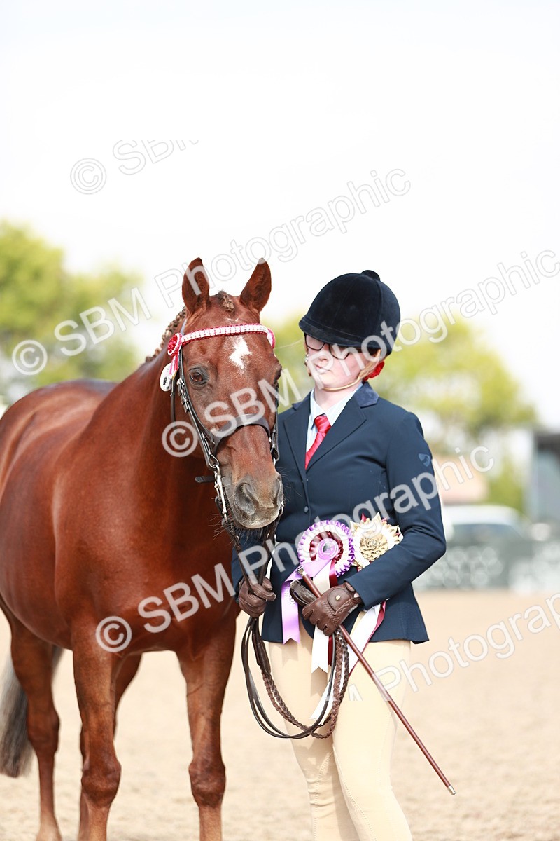 SBM_11141 - Class 205 IH Show Pony/ Show Hunter Pony
