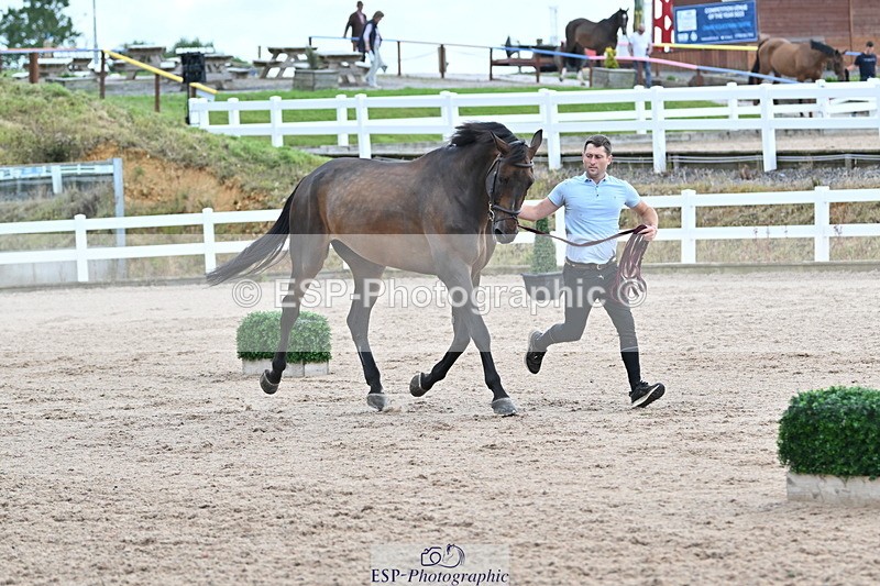 240717A-143243-02120 - Trot Up 2pm to 3pm - This folder is not in time order