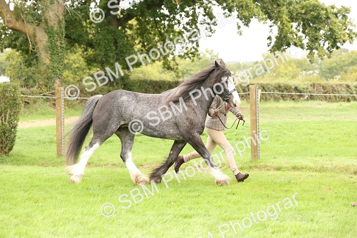 SBM_59254 - S57 - Traditional Cob In Hand