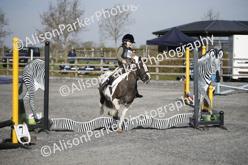 20250412-0248 - Show Jumping