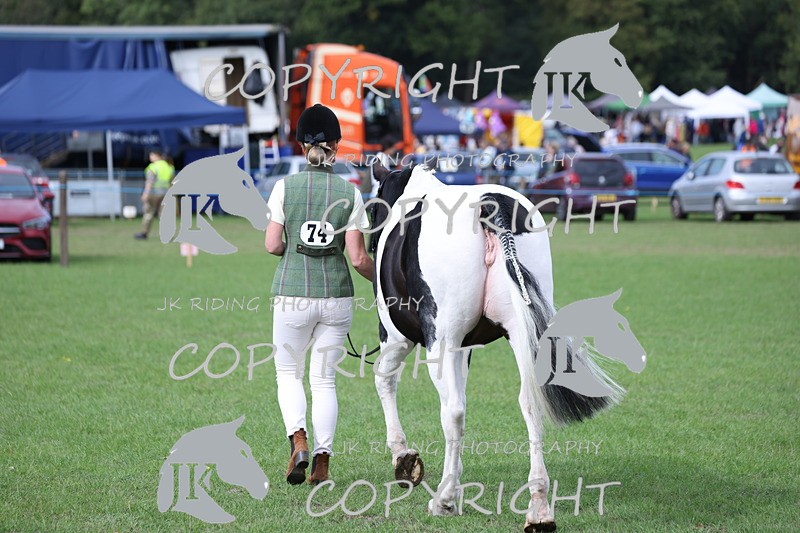 APP_2651 - Class 9 Veterans in hand