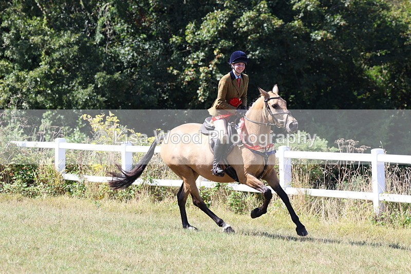 3E7A6484 - Working Hunter Championship