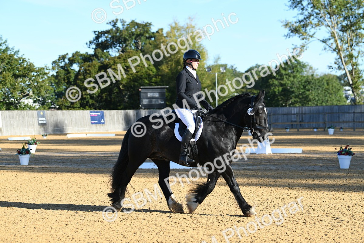 SBM_14493 - D4 - Small Tour Championship - Intro B