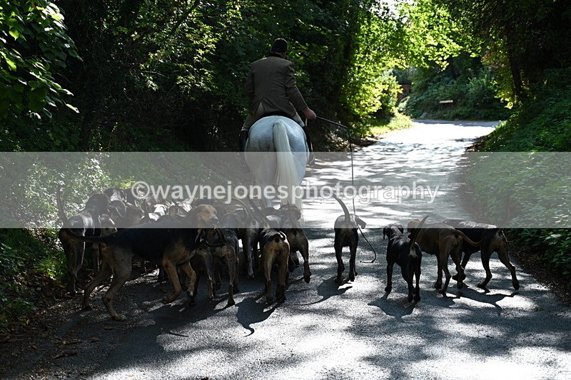 WJ7_6029 - Hounds Water Crossing