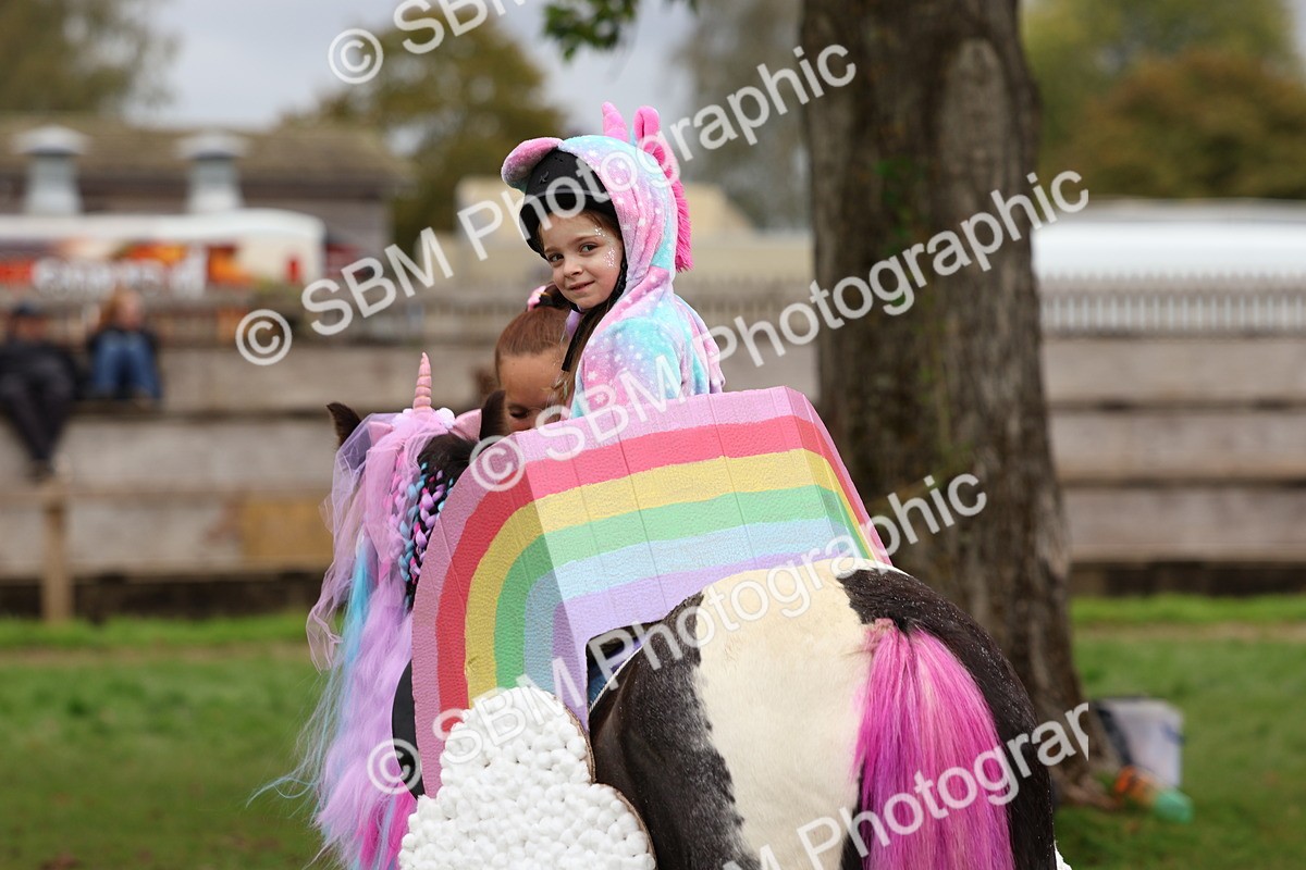 SBM_62202 - S37b - Best Unicorn
