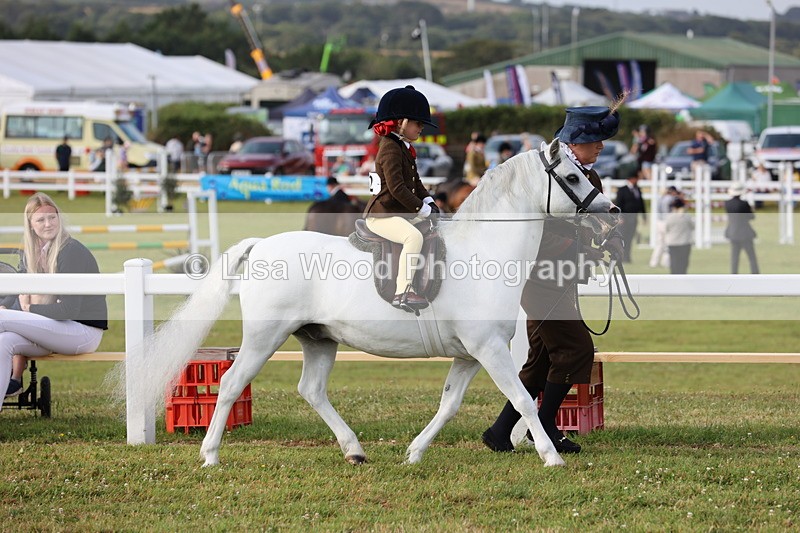 JPP_0252 - Class 14: Cornish Combination Leading Rein