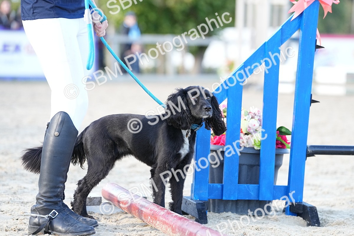 SBM_29045 - J43 - Horse & Hound Open 50cm