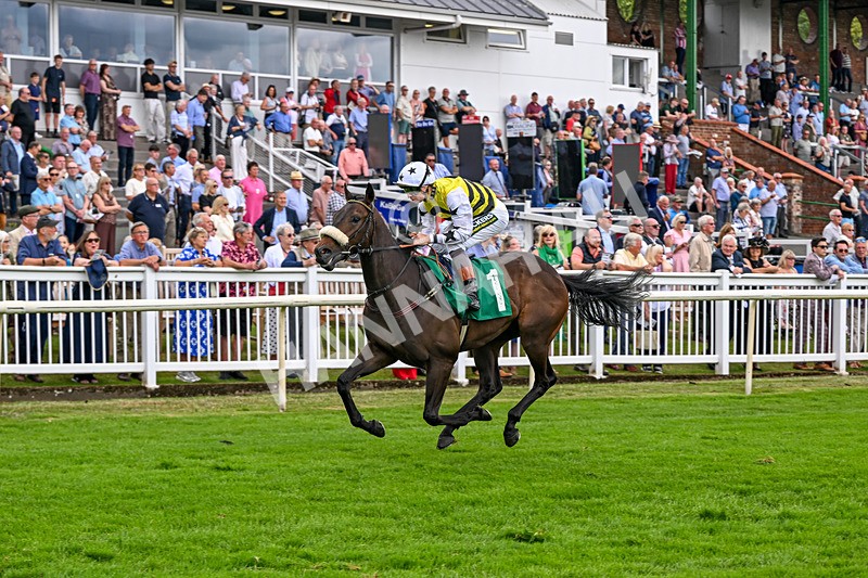 010726-Race 2-Arapaho Gold-7781 - Race 2 13.38pm British EBF Restricted Novice Stakes (Div II)