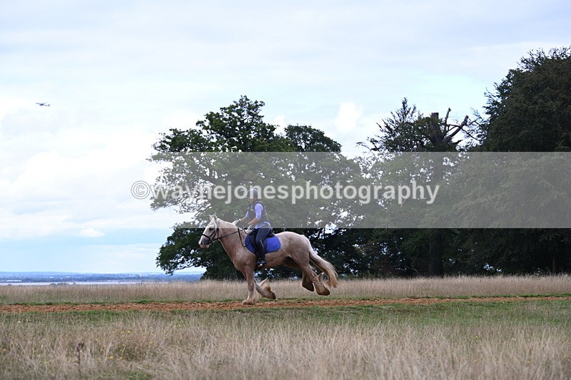 DSC_9502 - Time at Statue 15:11 to 15:58