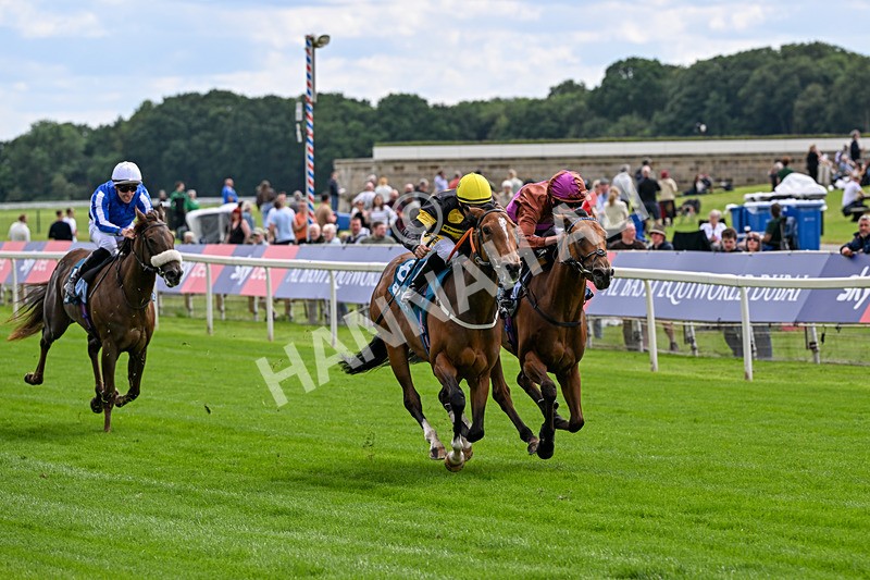 120626-Race 4-Big Negotiator-7514 - Race 4 15.35pm Juddmonte EBF Fillies' Restricted Novice