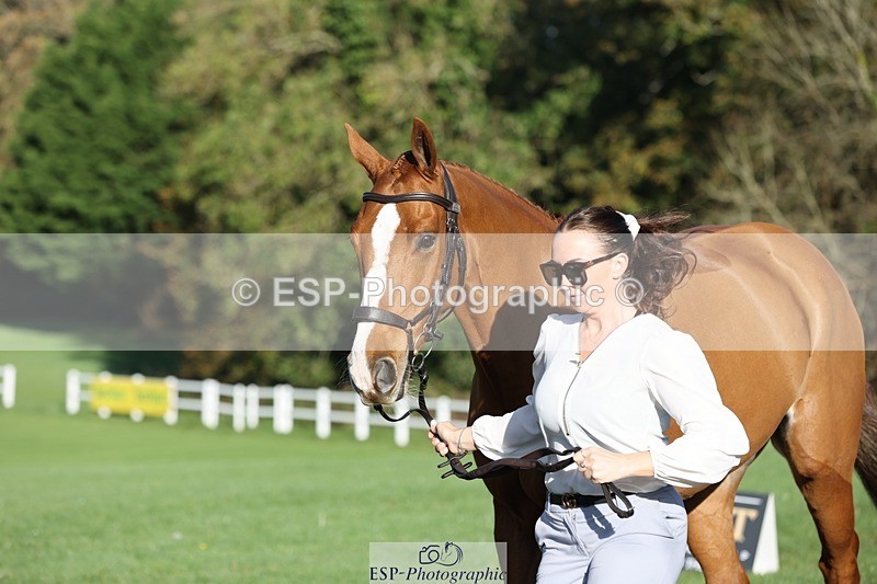 241027-092044-15220 - 405-Lucy.Strong-ON.PLANET.MARS