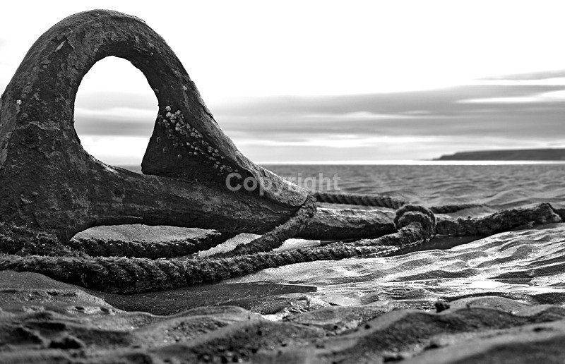 Anchor Lunan Bay - Landscapes