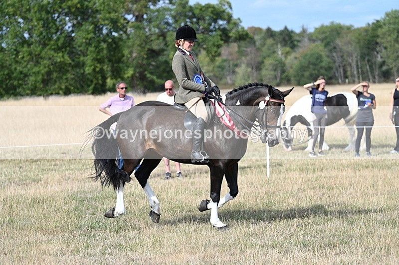 WJ7_7885 - Ridden Championship