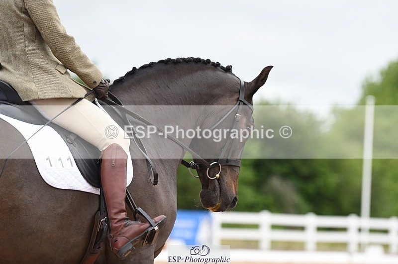 230630A-152928-03184 - Cls 7 Elementary 44 + Medium 71