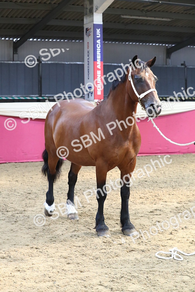 SBM_15369 - Class 501 M&M IH Supreme Final