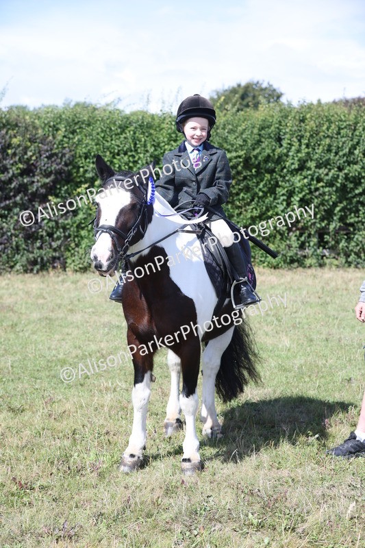 20250831-2553 - Class 16 - Family Pony