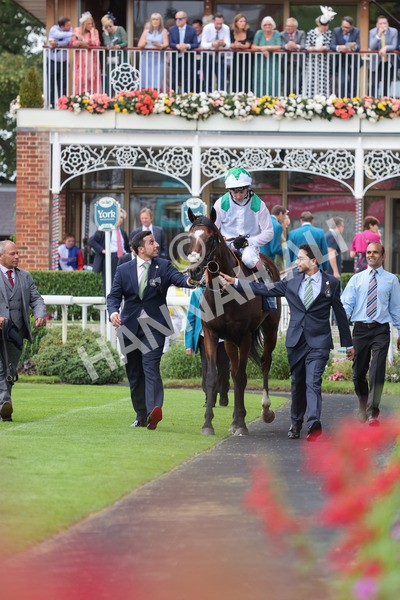 yr20082021r5-32 - Race 5 4.10pm British Stallion Studs EBF Convivial Maiden Stakes (Plus 10 Race)