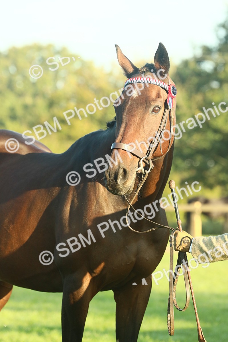 SBM_56647 - S36 - Starters Best Turnout