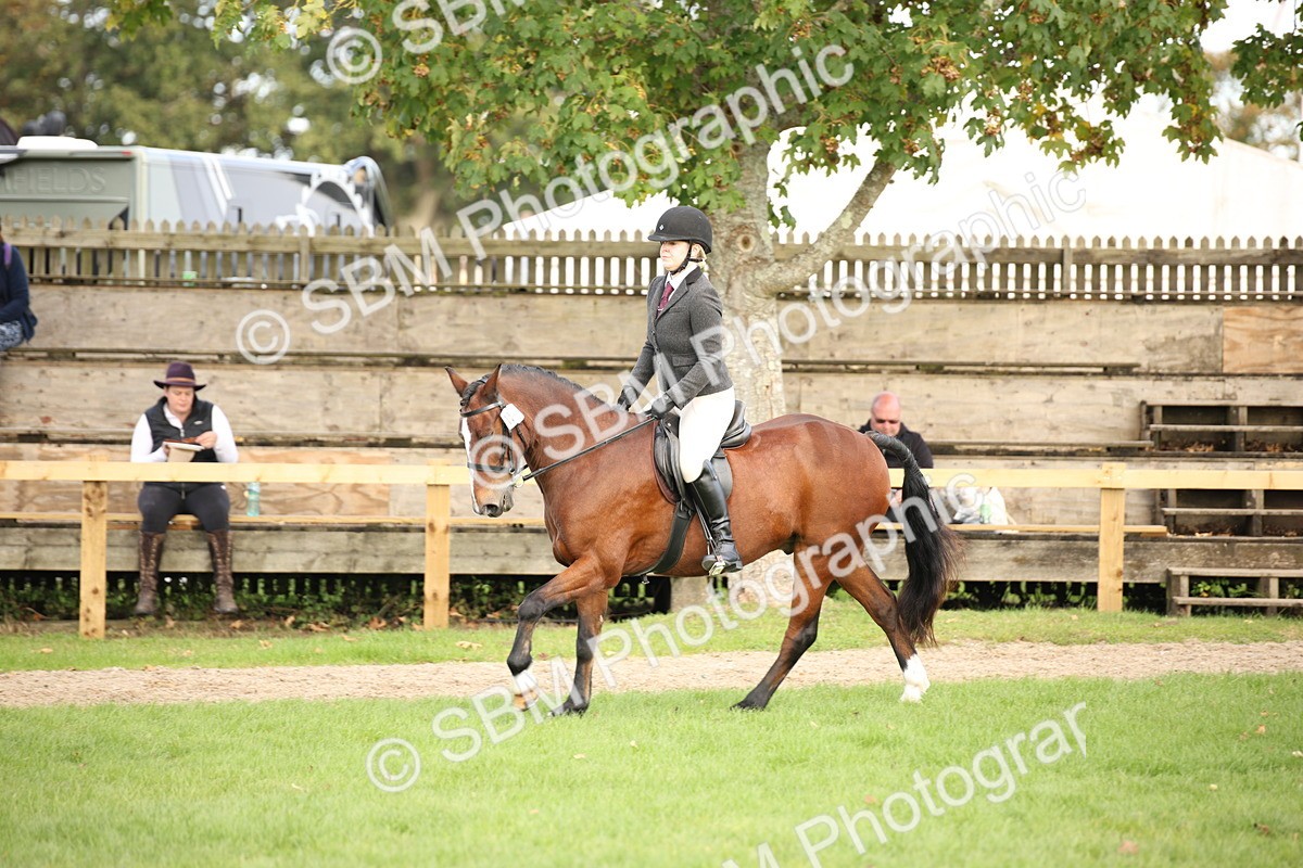 SBM_50236 - S26 - Young Veteran - Ridden