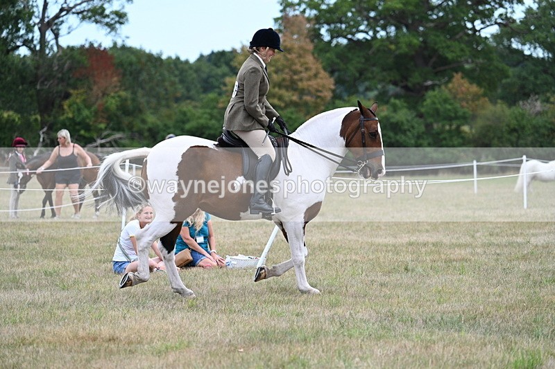 WJ7_4911 - Class 12 Ridden Cob