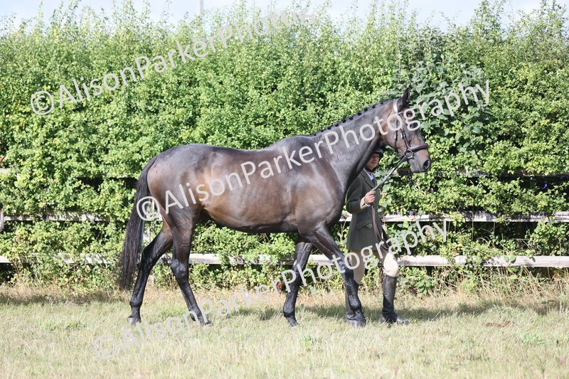 20250831-1518 - Class 21 - Inhand Open