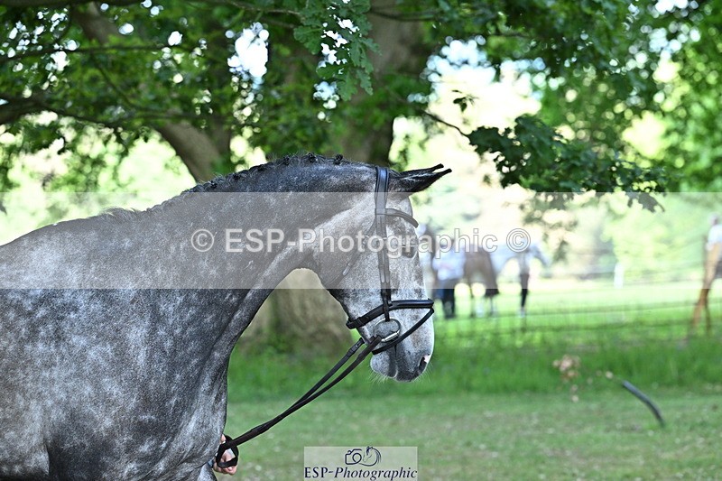 250521A-160642-00922 - C-268-Lucy.Stimson-RUSTINO