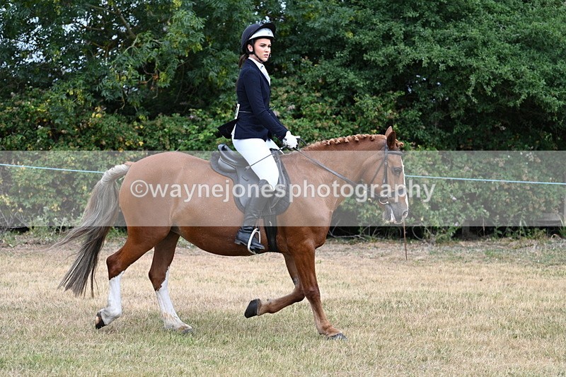 WJ7_0236 - Class 2 Best rider