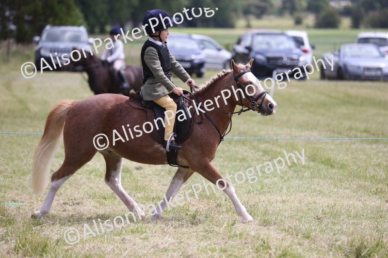 20260614-2053 - Class 21 - Novice Working Hunter Pony