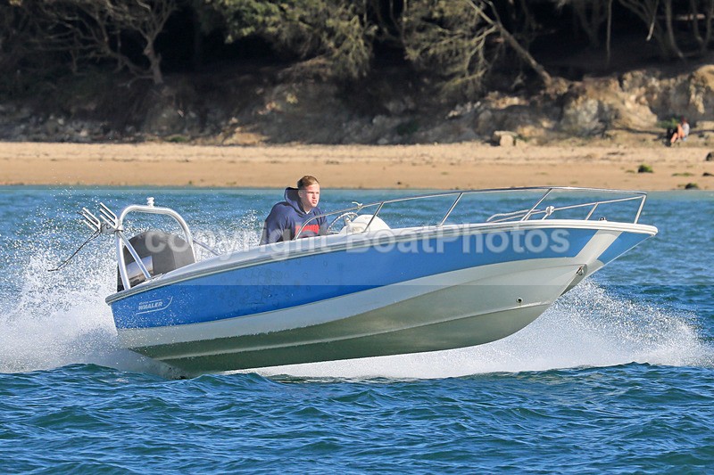 170902 BLUE BOSTON WHALER 1Y3A1019 - RIBs, Tenders, Dories, Dinghies