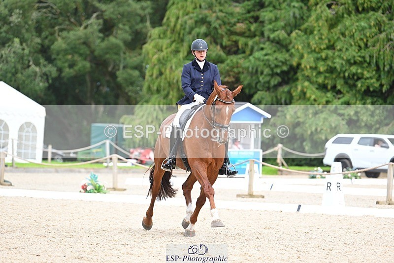 230813-135507-07643 - Cls 13 Medium Bronze 13.15 to End