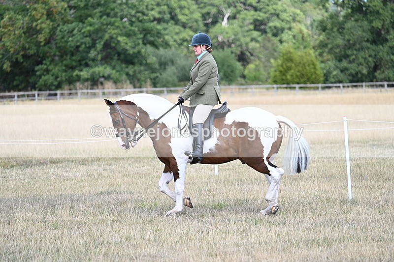 WJ7_7141 - Class 14 Ridden Coloured