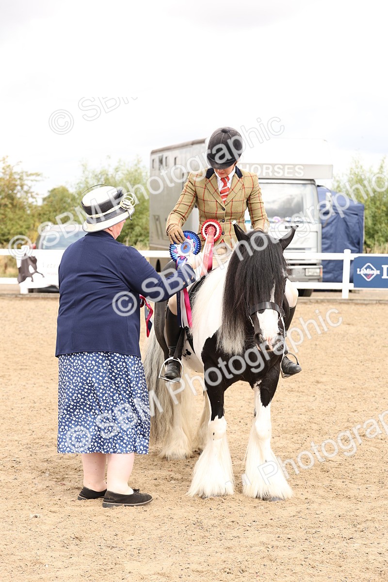SBM_05172 - Class 56a -  Style & Performance - 50cm (15-19)