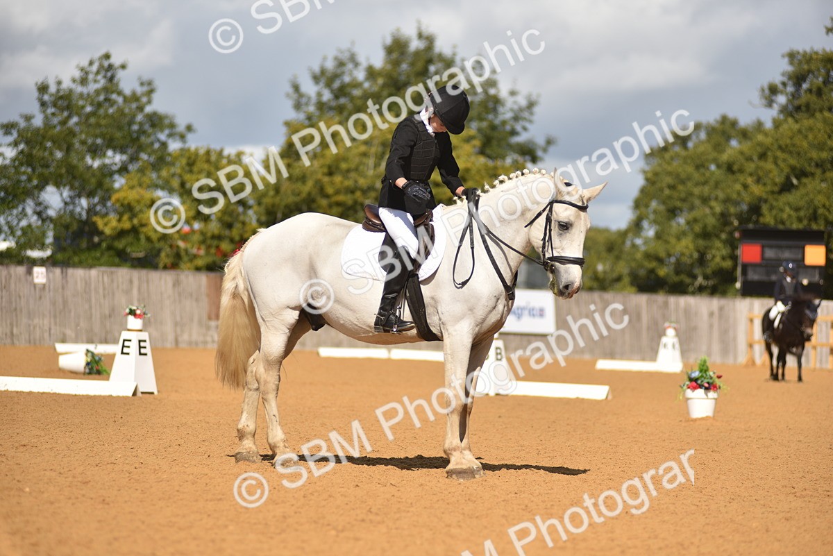 SBM_03365 - D4 - Small Tour Championship Intro 4