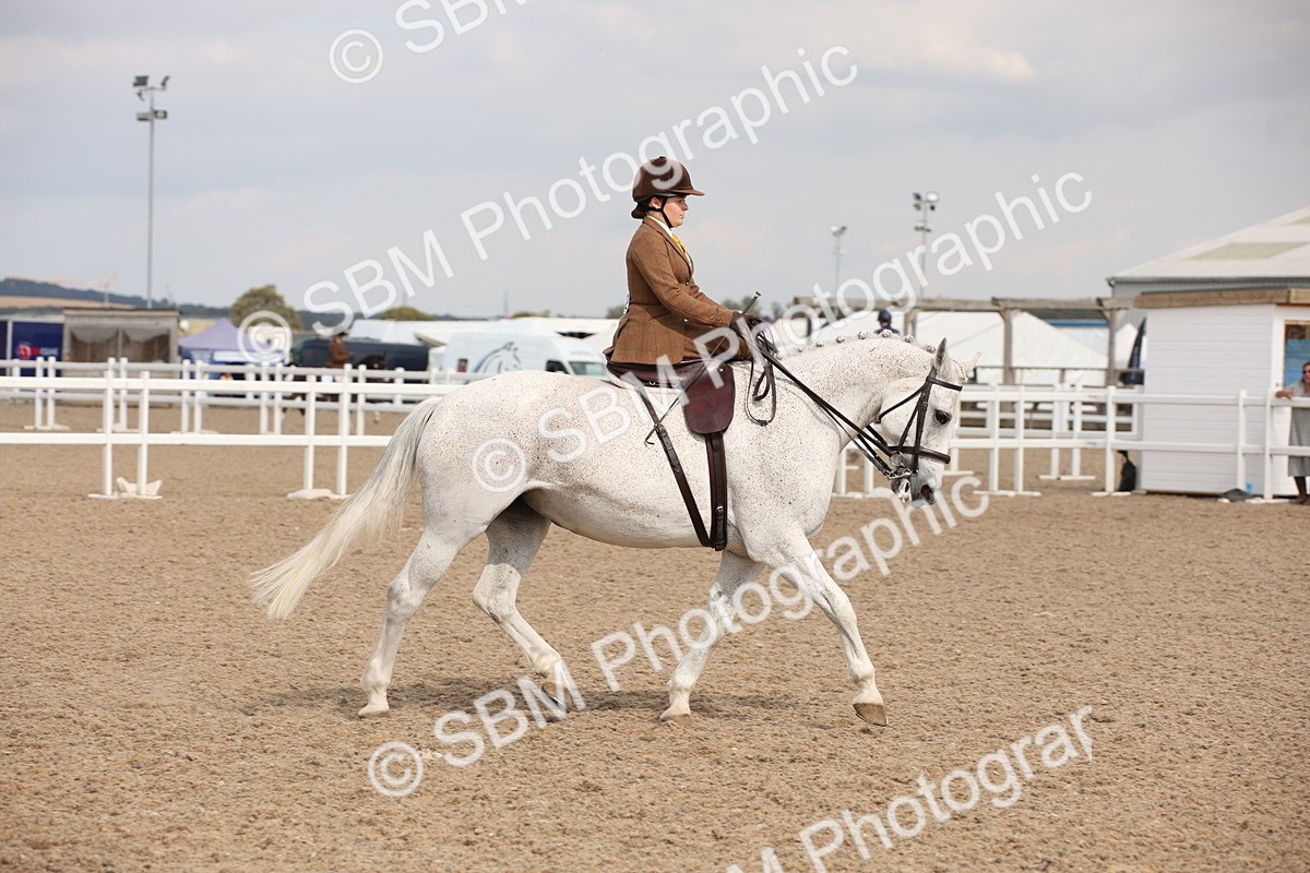 SBM_06754 - Class 24 Concours d'elegance