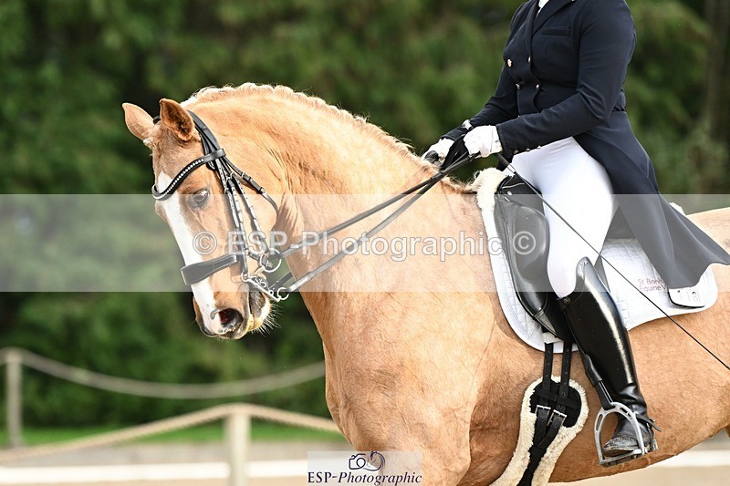 231110-152917-02207 - Cls 11 FEI PSG