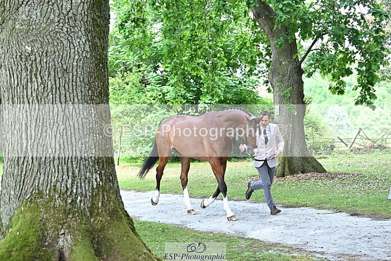 250521A-151221-00335 - B-318-Alexander.Bragg-SHANNONDALE.CONNOR