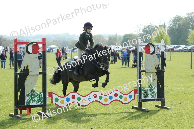 20260426-1483 - Class 14 - Novice 60cm