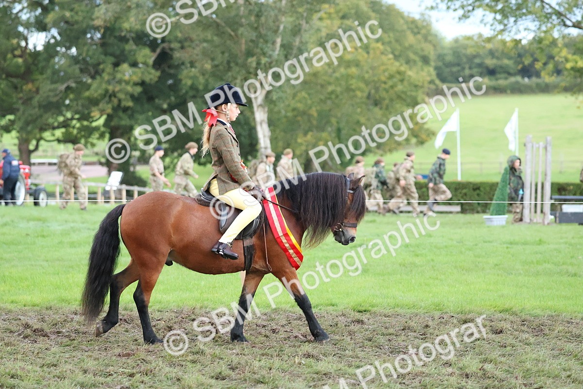 SBM_53398 - Super Supreme Championship (Sat)