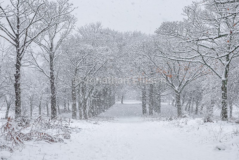 Lever Park - Rivington And Surrounding Areas