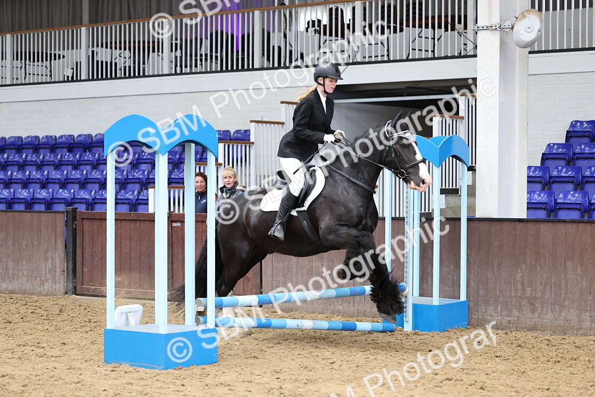 SBM_007675 - Class 3 - 60cm showjumping